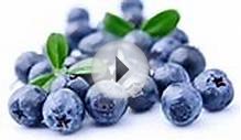 Health and Fitness