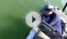 Lake Erie Fishing