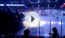 Lake Erie Monsters