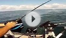 Lake Erie Steelhead trolling in Wheatley 8-2-12