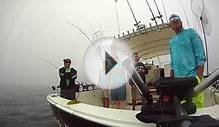 Lake Erie Walleye Fishing Ft. Get It Wet Sportfishing