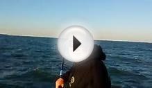 Lake Erie walleye on fire!