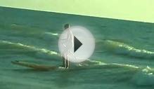 lake huron paddle surfing in the summer
