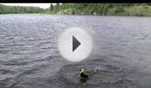 Lake Of The Woods.mov