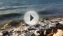 Lake Ontario - beautiful waves crashing along shoreline