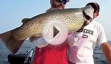 Lake Ontario Brown Trout Fishing