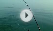 Lake Ontario Trout Fish City Tours August