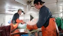 Lake Superior Whitefish