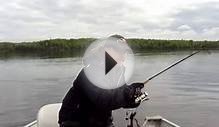 Lake Trout On A Jig Red Lake Ontario Canada