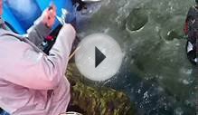 Loughborough Lake Trout 2013 Highlights.