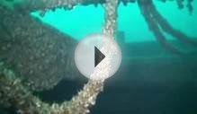 Newell Eddy Shipwreck, near Spectacle Reef, lake Huron