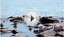 Ontario Lake