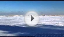 Puppers playing on frozen Lake Huron
