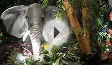 Rainforest Cafe