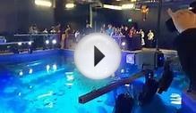 Sharks arrive at SEA LIFE Michigan Aquarium at Great Lakes