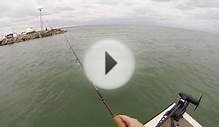 Spring Bass Fishing in Michigan Great Lakes