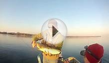 Trolling Lake Ontario Brown Trout: Spring Fishing 2014