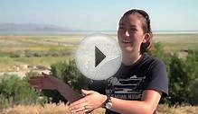 Wild Science: Phalaropes on Great Salt Lake