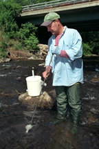 Water chemistry sampling in a NYS stream